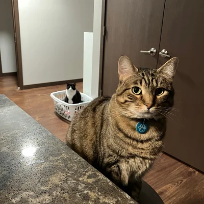 Xena & Midna
